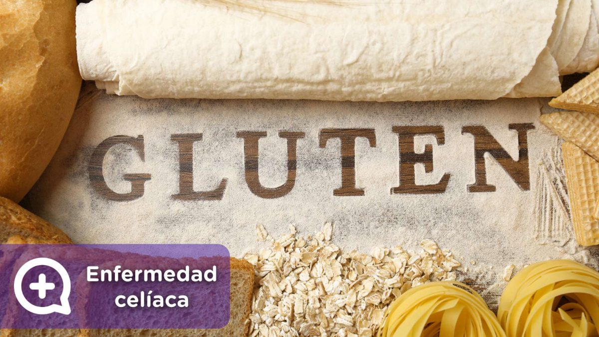 Enfermedad celíaca, proteína, cereal, contiene gluten, free. Alimentación. Nutrición. mediQuo, tu amigo médico. Chat médico.