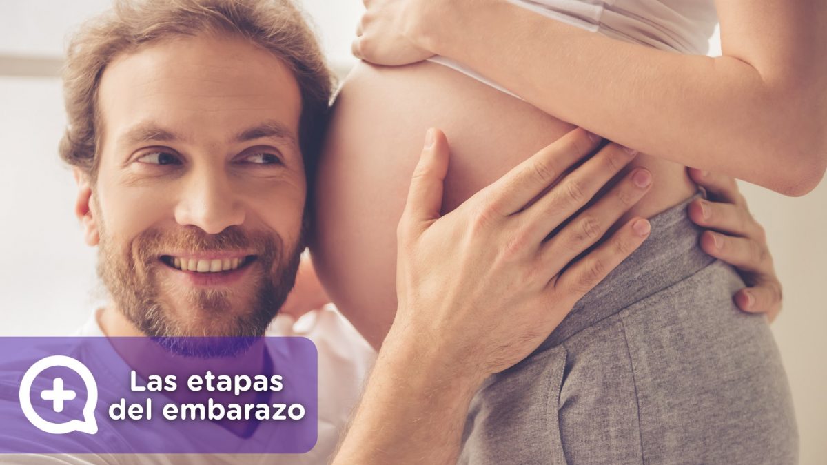 Las etapas del embarazo. Obstetricia y ginecología, día mundial de la embarazada. mediquo, tu amigo médico, chat médico.