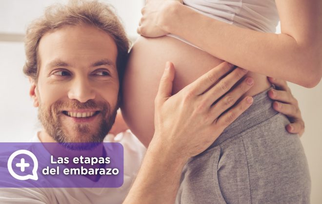 Las etapas del embarazo. Obstetricia y ginecología, día mundial de la embarazada. mediquo, tu amigo médico, chat médico.