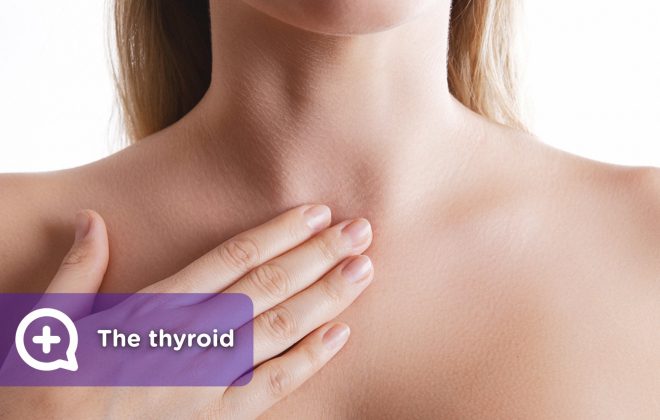 The thyroid, man and woman with this disease that causes hypothyroidism or hyperthyroidism.