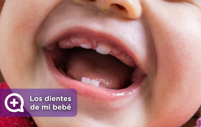 Los primeros dientes de mi bebé, dolor, fiebre, molestias. MediQuo, tu amigo médico. Chat médico. Pediatría