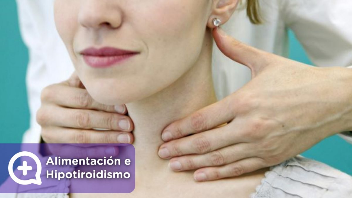 Hipotiroidismo, alimentación necesaria, causas, síntomas y tratamiento. MediQuo, tu amigo médico. Chat médico.