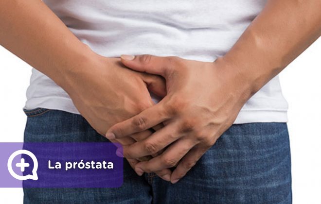 Próstata, causas, tratamiento. Salud masculina, urologo. MediQuo, Tu amigo médico. Chat médico.