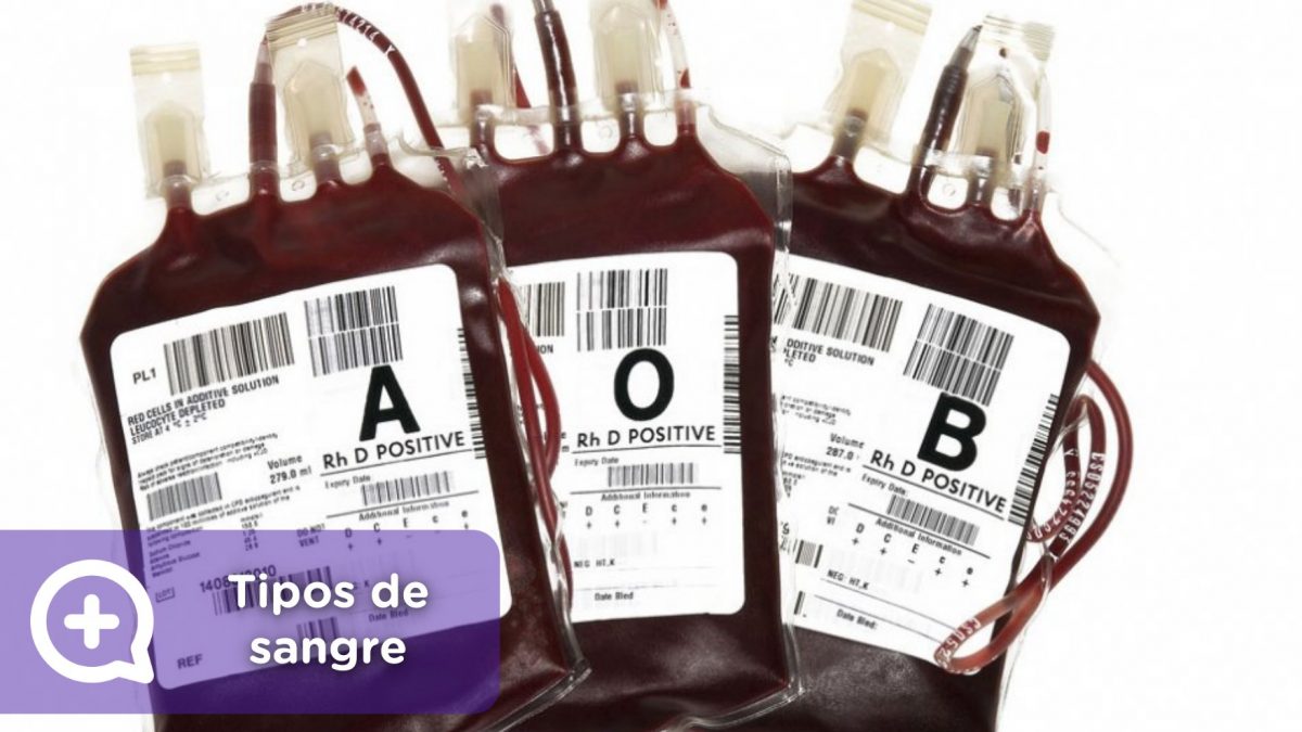 Tipos de sangre, donación, AB0. Rh. Mediquo. Tu amigo médico. Chat médico.