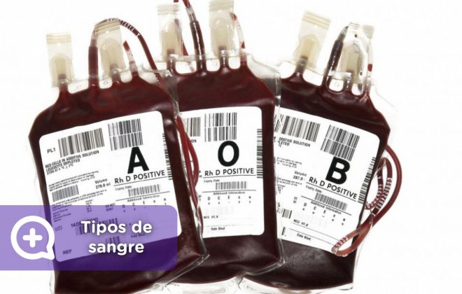 Tipos de sangre, donación, AB0. Rh. Mediquo. Tu amigo médico. Chat médico.