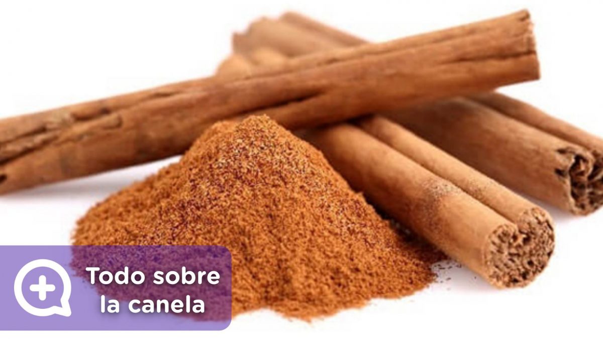 canela y cassia diferencia. Nutrición. MediQuo. Tu amigo médico. Chat médico.