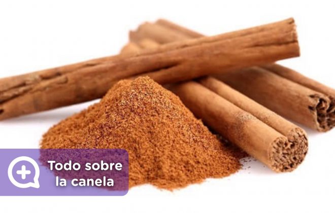 canela y cassia diferencia. Nutrición. MediQuo. Tu amigo médico. Chat médico.