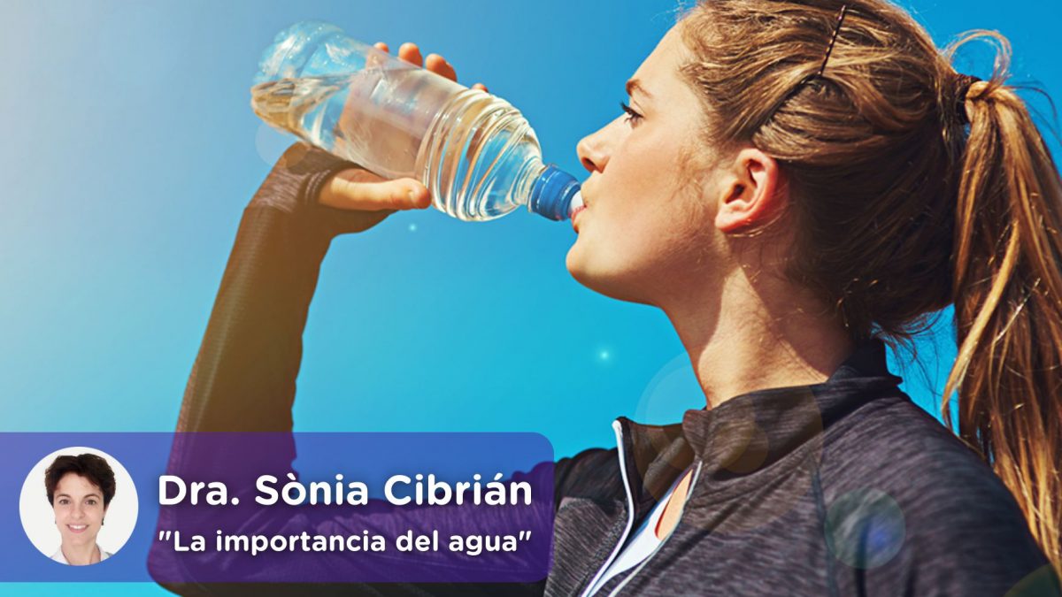 La importancia del agua en el ser humano. Mediquo, tu amigo médico. Chat médico. Sònia Cibrián