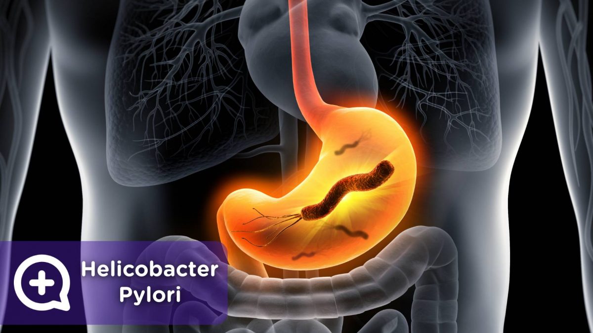 Helicobacter Pylori. Mediquo, tu amigo médico. Chat médico.