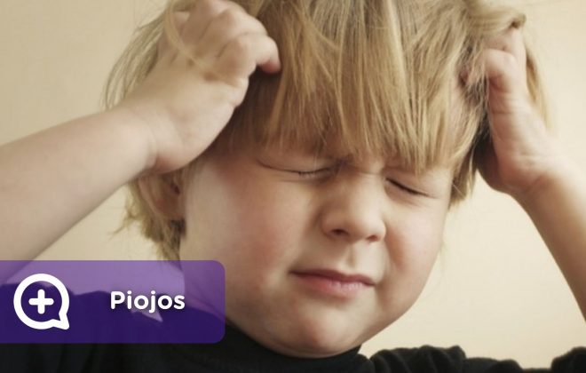 Piojos, liendres, huevos, picor, cabeza, niños, colegio. Mediquo, tu amigo médico. Chat médico. Pediatría