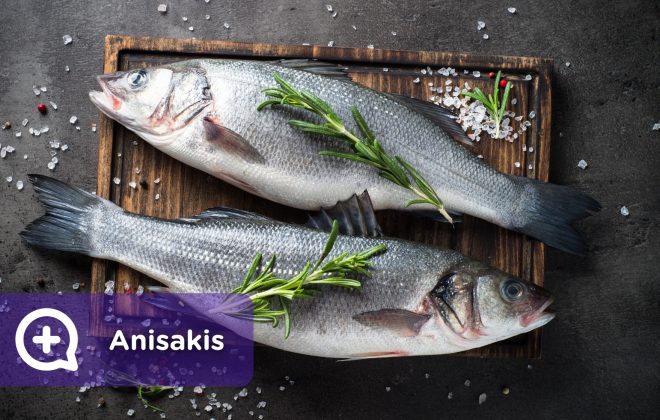 Anisakis, pescado. Nutrición. Mediquo, tu amigo médico. Chat médico.