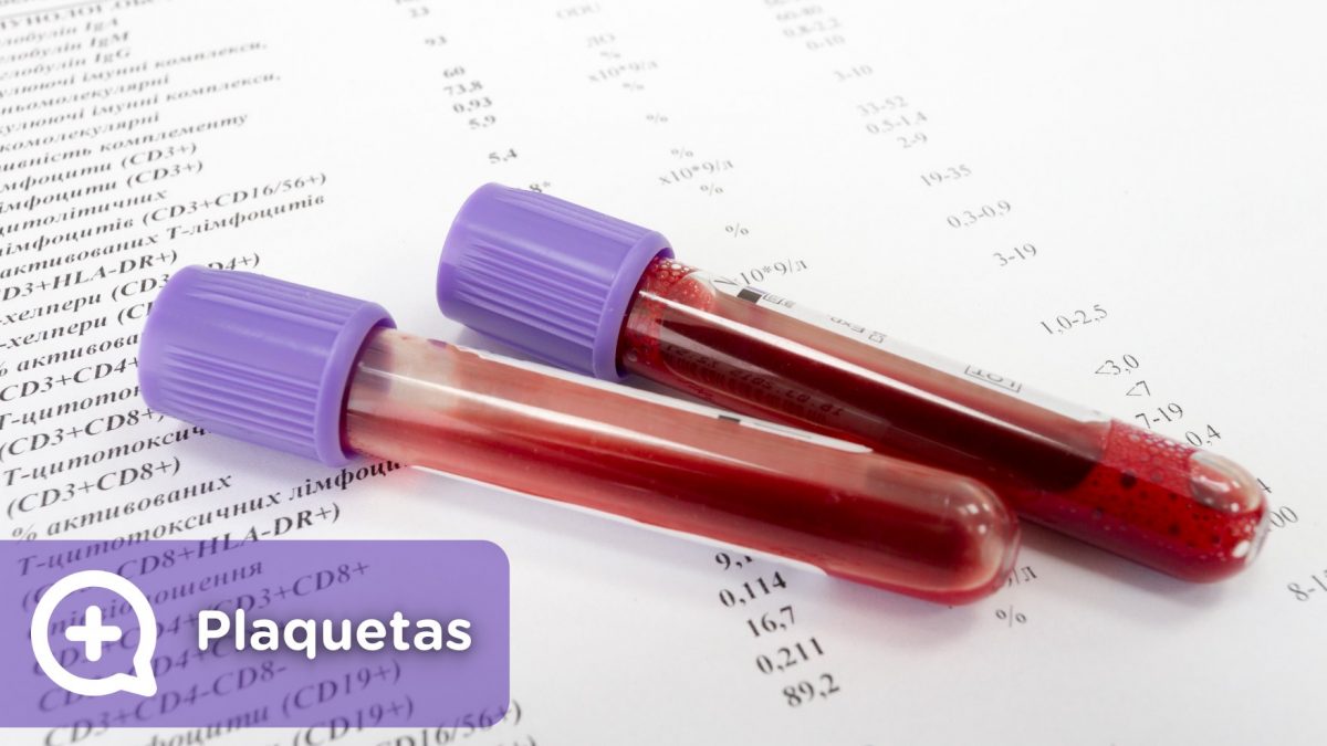 Análisis de sangre, plaquetas altas, plaquetas bajas, qué significa. Mediquo, tu amigo médico. Chat médico.