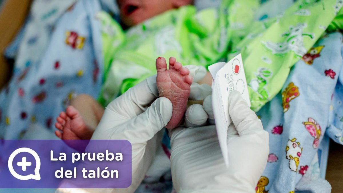 Prueba del talón, recién nacido. Pediatría. Mediquo, Tu amigo médico. Chat médico.