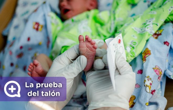 Prueba del talón, recién nacido. Pediatría. Mediquo, Tu amigo médico. Chat médico.