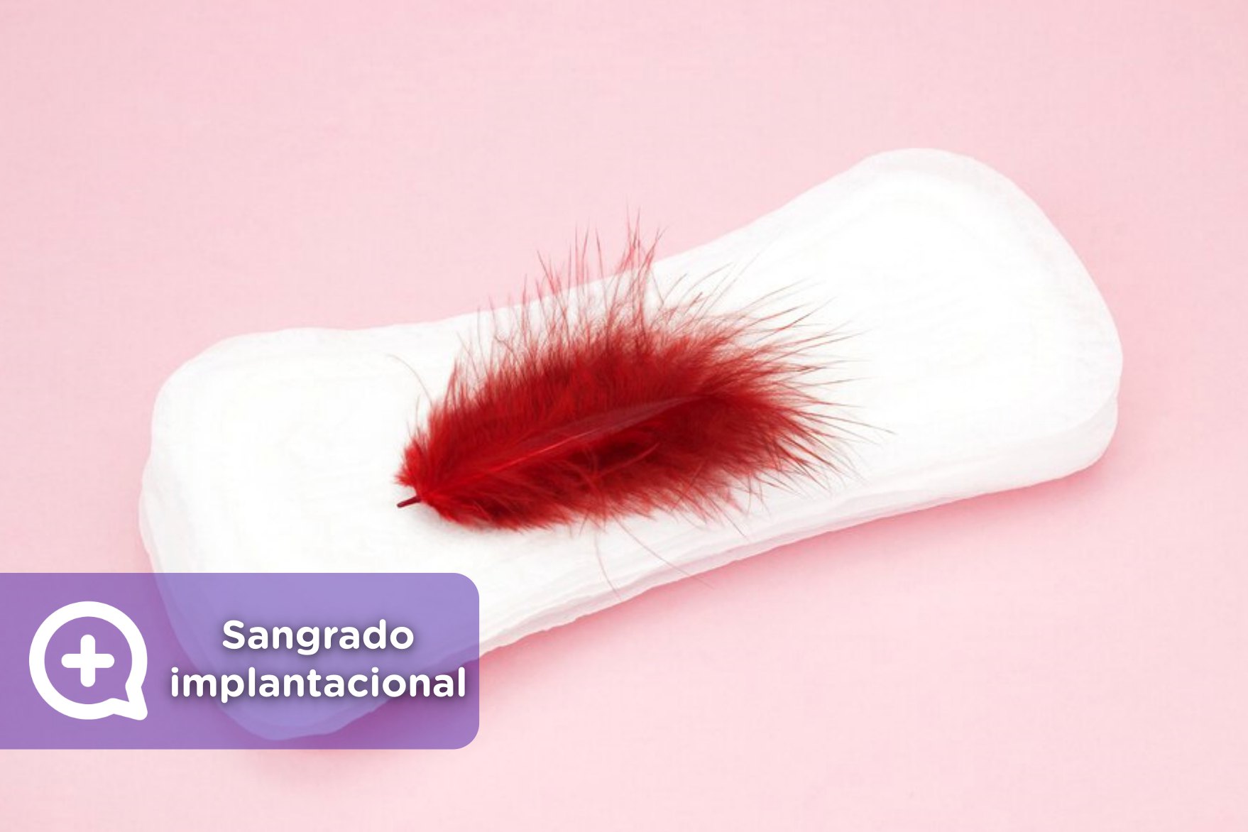 Sangrado De Implantacion Abundante 3 Dias Cuantos Dias Despues Del Sangrado De Implantacion Puedo Hacerme Una Prueba De Embarazo Wholesale