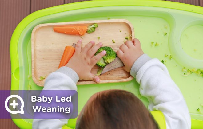 Baby Led Weaning. Alimentación en niños. Nutrición. Salud. Pediatría. Mediquo, Tu amigo médico. Chat médico.