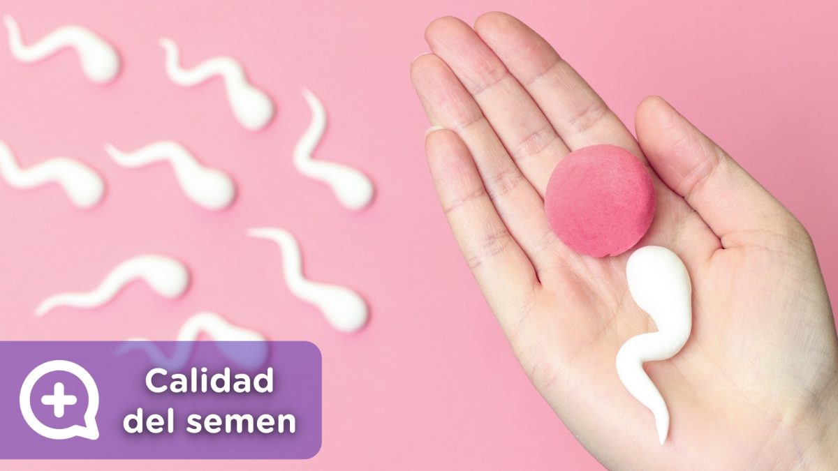 Mejorar la calidad del semen. Salud Masculina, vida saludable. Mediquo, Tu amigo médico. Chat médico.