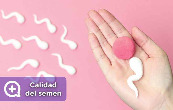 Mejorar la calidad del semen. Salud Masculina, vida saludable. Mediquo, Tu amigo médico. Chat médico.