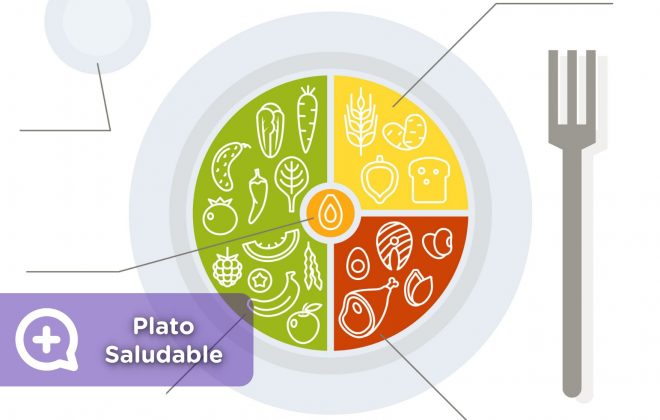 Plato saludable, mediquo, proteínas, hidratos de carbono, verduras, frutas, agua, grasas saludables.