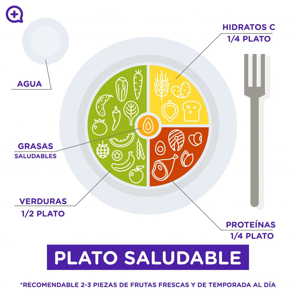 Así Es Como Debe Ser El Plato Saludable Mediquo