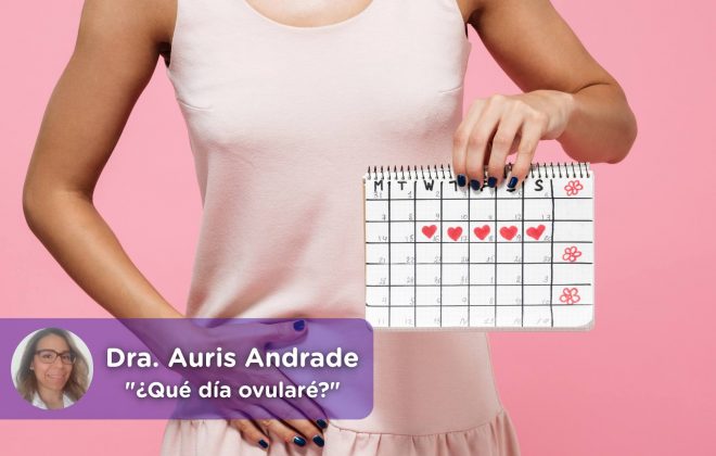 día ovulación, menstruación, fertilidad, embarazo, ovulos, Auris Andrade, Mediquo, Tu amigo médico. Chat médico.