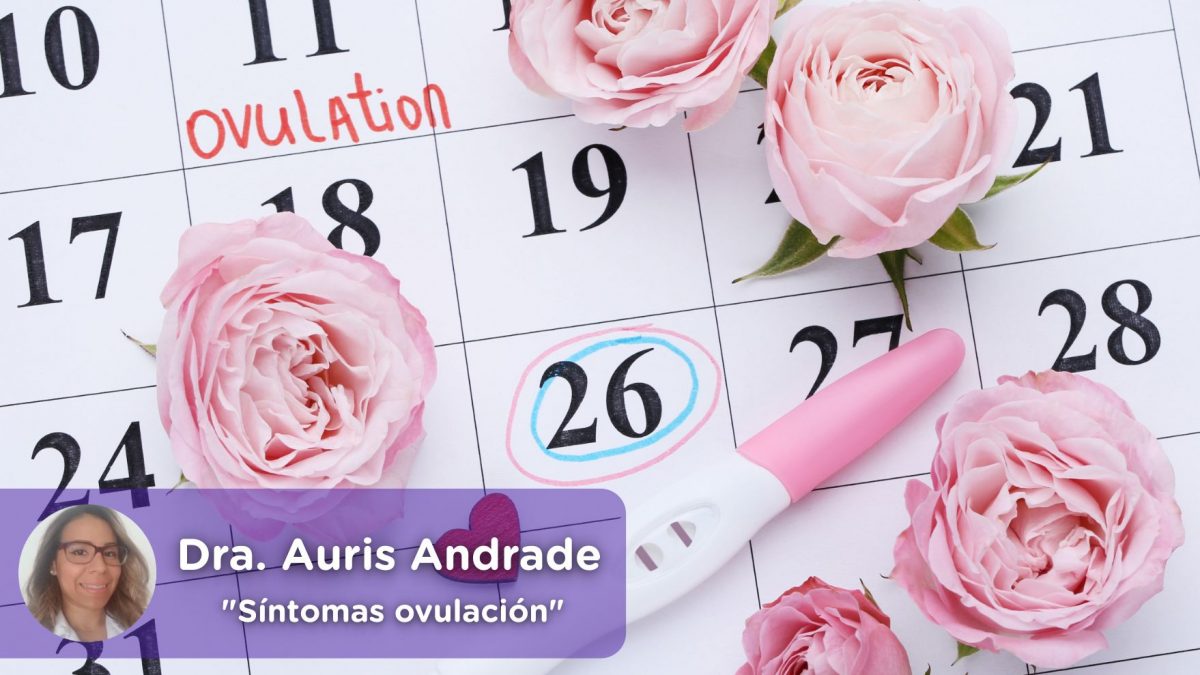 Síntomas ovulación, calendario fértil. Auris Andrade. Mediquo, Tu amigo médico. Chat médico. Salud.