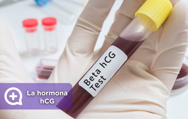 Hormona embarazo HCG_mediquo