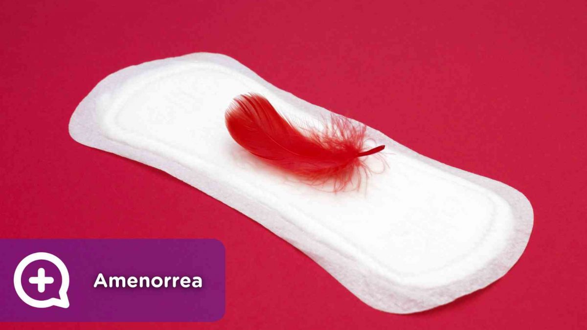 Amenorrea, Menstruacción. Ginecología. Mediquo. Regla. Salud. Obstetricia