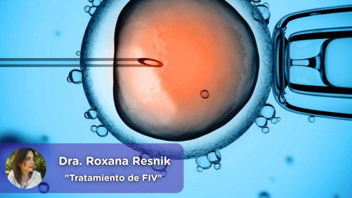 Tratamiento de Fecundación in Vitro FIV, mediquo, ginecología, obstetra, embarazo, Roxana Resnik, Salud.