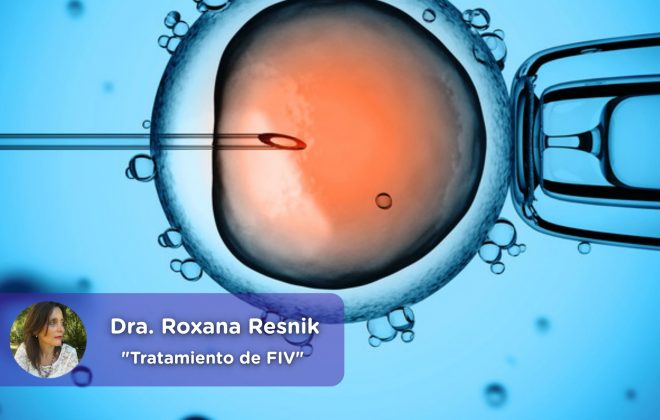 Tratamiento de Fecundación in Vitro FIV, mediquo, ginecología, obstetra, embarazo, Roxana Resnik, Salud.