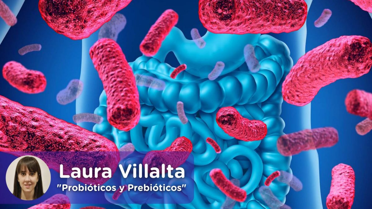 Como mejora mi flora intestinal. Probióticos y prebióticos. MediQuo. Salud. Laura Villalta.