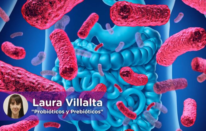 Como mejora mi flora intestinal. Probióticos y prebióticos. MediQuo. Salud. Laura Villalta.