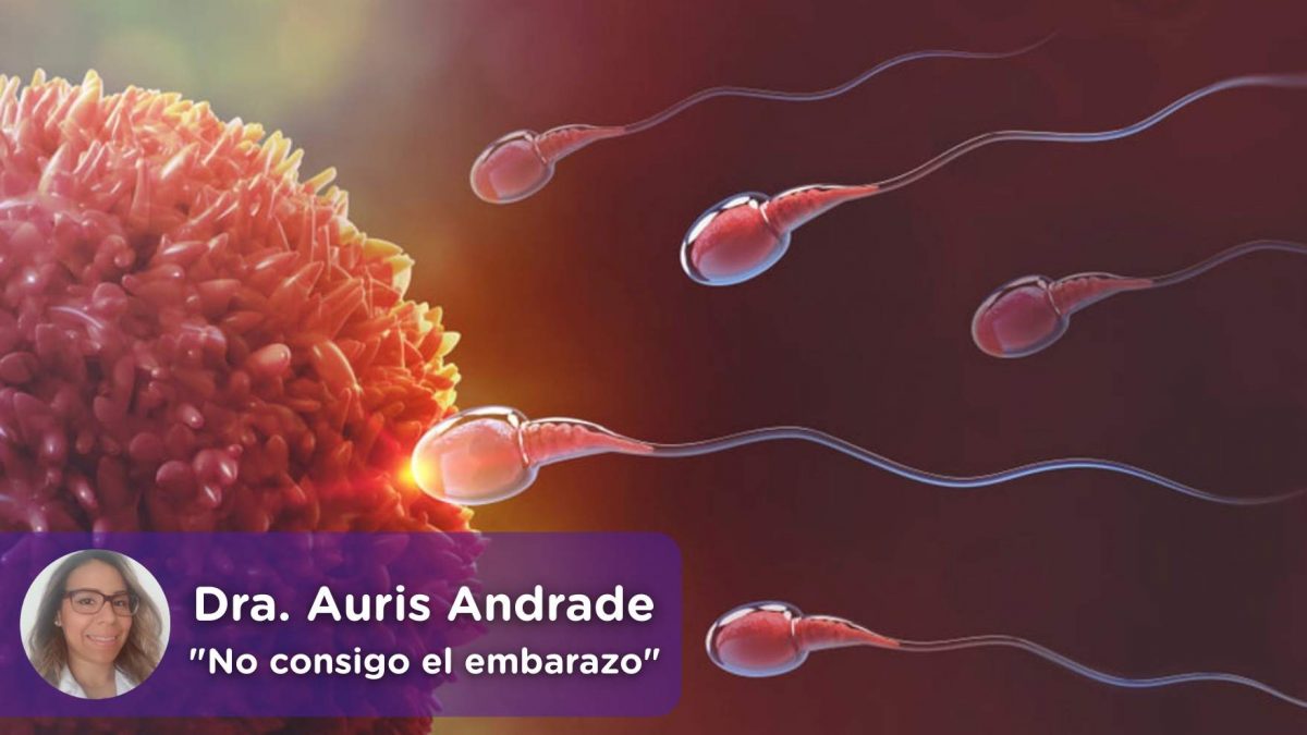 No consigo quedarme embarazada. Auris Andrade. Ginecologa. MediQuo, Salud