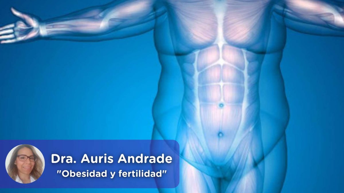 Obesidad y fertilidad, mediquo, salud, nutrición, embarazo, peso, dieta, vida saludable.