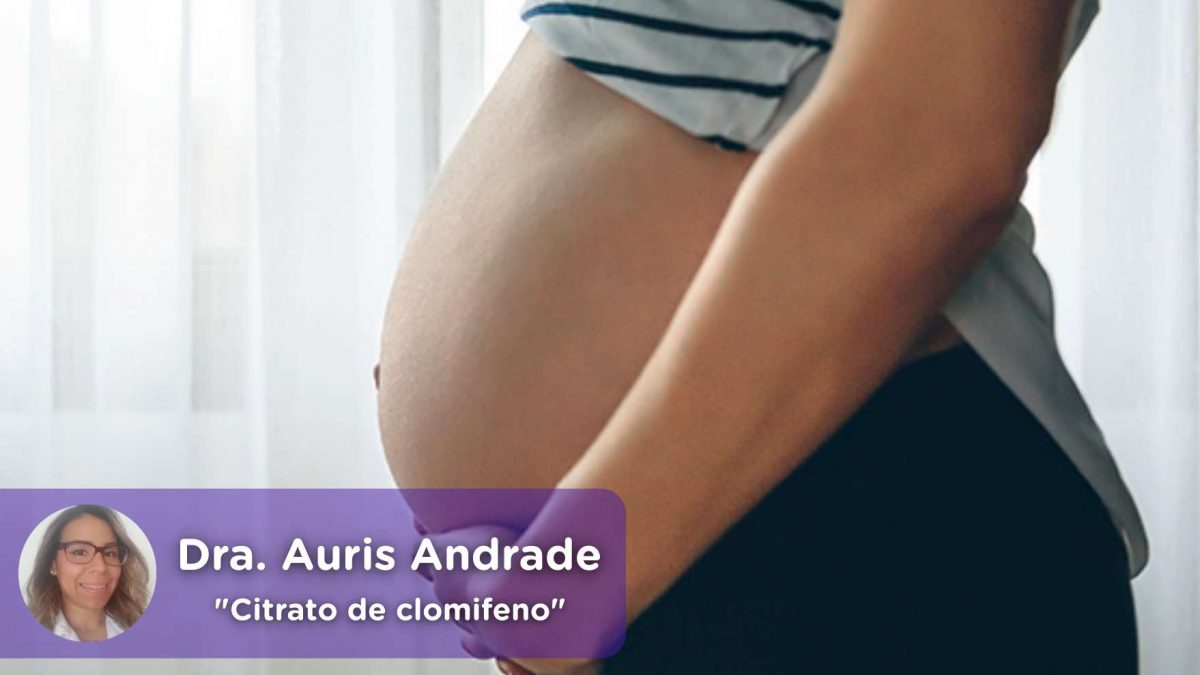 Citrato de clomifeno. embarazo. conseguir embarazo ginecología, obstetricia. Salud. Mediquo. Auris Andrade.