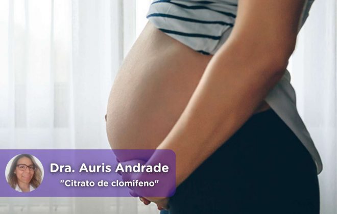 Citrato de clomifeno. embarazo. conseguir embarazo ginecología, obstetricia. Salud. Mediquo. Auris Andrade.