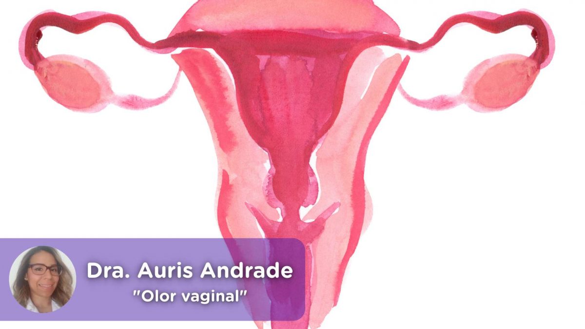Olor vaginal, menstruación, pescado, flujo vaginal, salud mujer, vagina. MediQuo, Auris Andrade, médico, cirujano, ginecología, salud, telemedicina