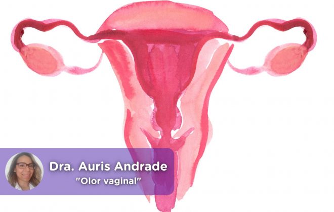 Olor vaginal, menstruación, pescado, flujo vaginal, salud mujer, vagina. MediQuo, Auris Andrade, médico, cirujano, ginecología, salud, telemedicina