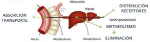 farmacogenética, mediquo, pacientes, fármacos, medicación, prescripción médica, receta, eugenomic