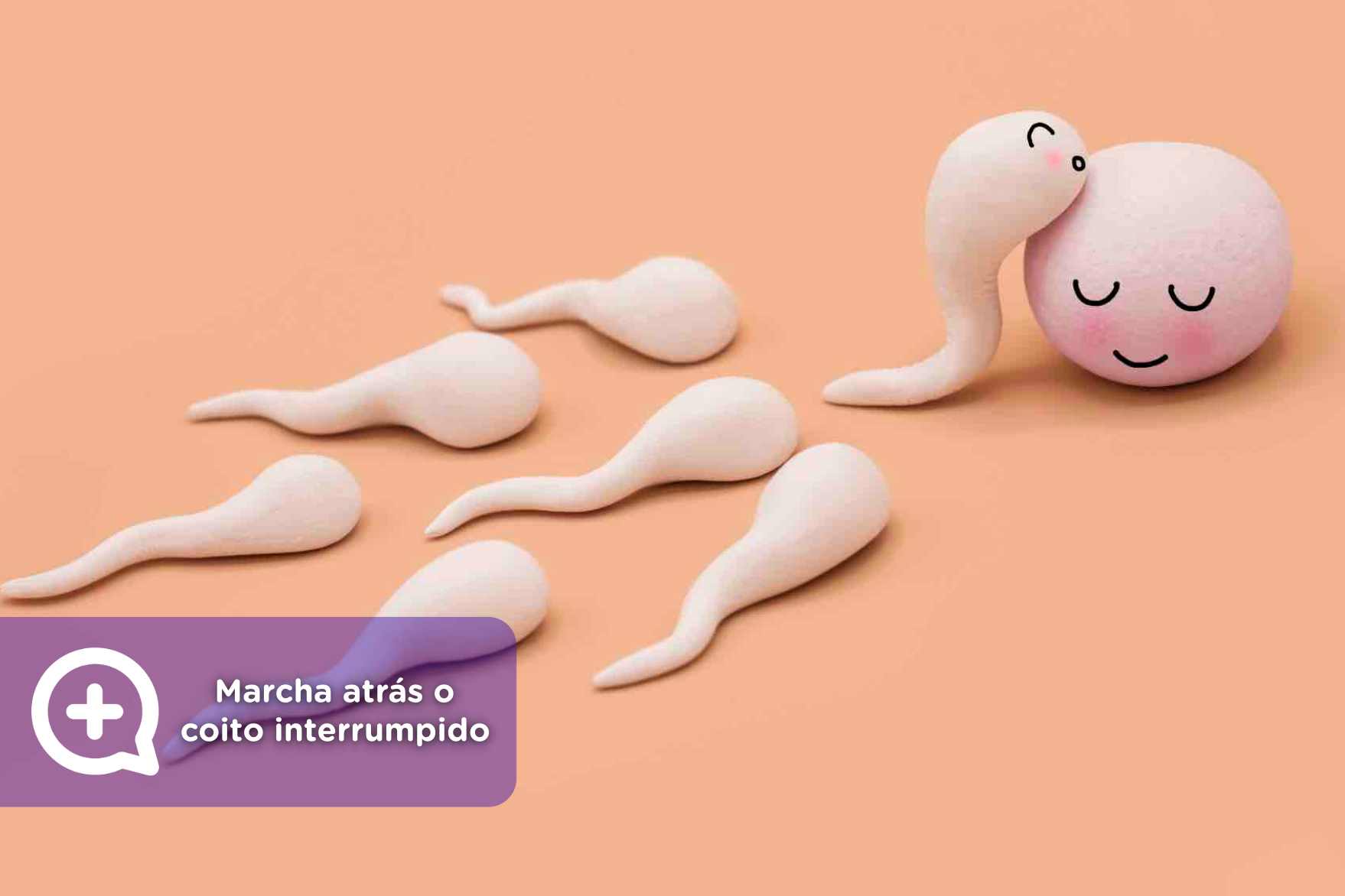 Cual Es La Probabilidad De Quedar Embarazada Con Liquido Preseminal Utilizamos la marcha atrás o el coito interrumpido - mediQuo