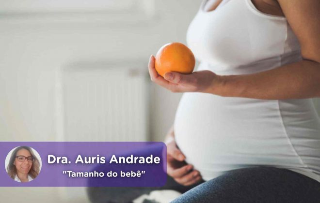 tamanho do bebê, evolução da gravidez, ginecologia, obstetrícia, auris andrade, saúde, médico