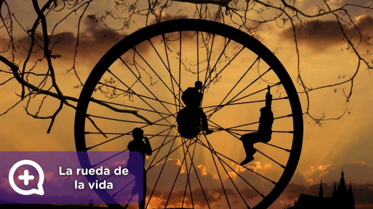 Rueda de la vida, 2020, año nuevo, psicología, salud, trabajo, amor, dinero, familia, mediquo