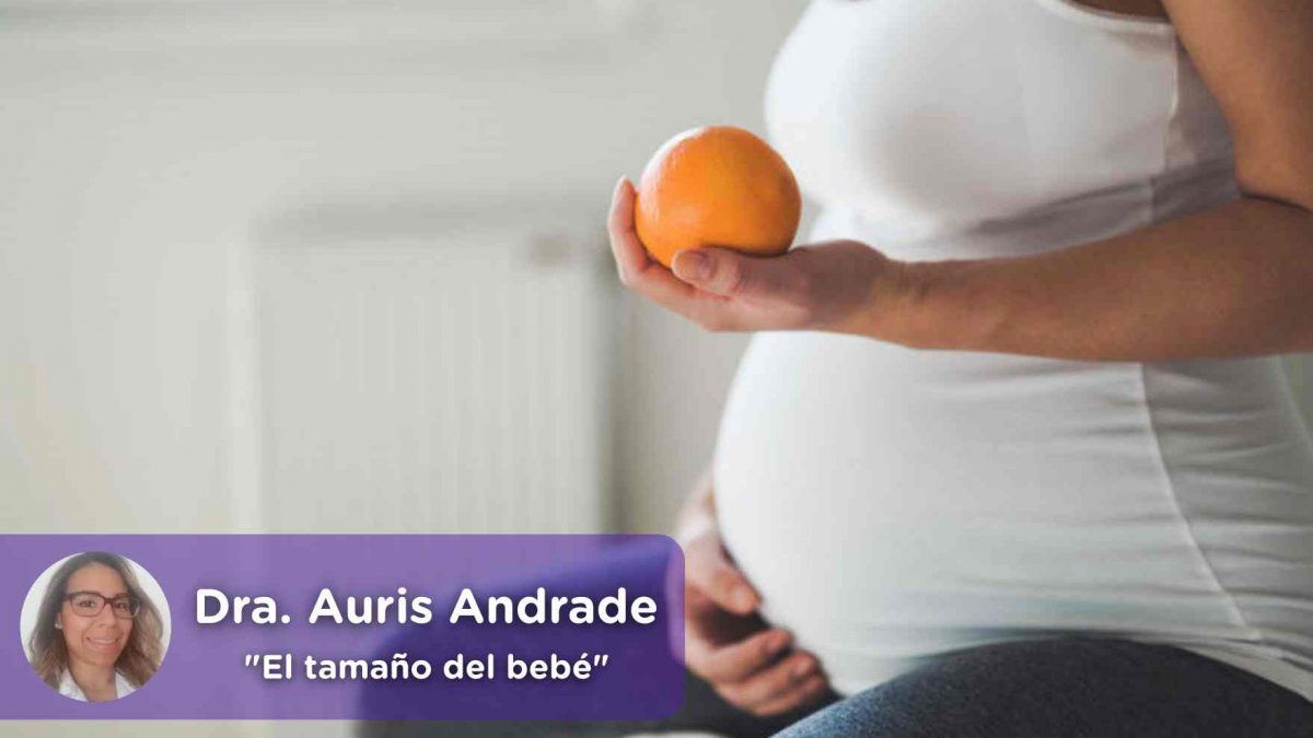 tamaño bebé, evolución embarazo, ginecología, obstetricia, auris andrade, salud, mediquo