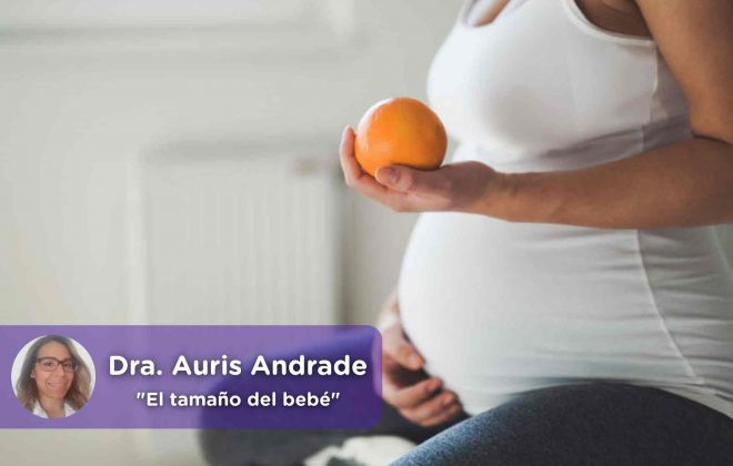 tamaño bebé, evolución embarazo, ginecología, obstetricia, auris andrade, salud, mediquo