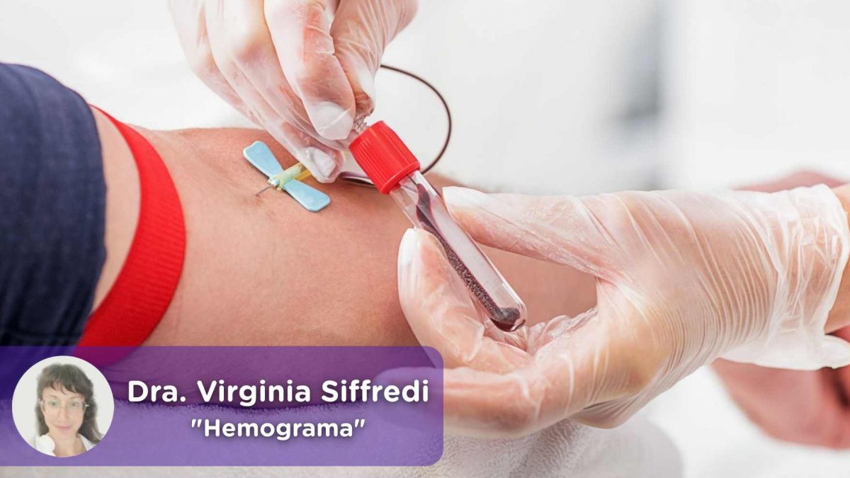 hemograma, analítica de sangre, glóbulos rojos, blancos, plaquetas, anemia, mediquo, hematóloga, virginia siffredi, salud