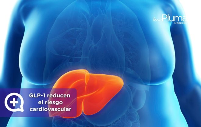 Hígado graso y corazón cómo los tratamientos GLP-1 reducen el riesgo cardiovascular. Médicos para bajar de peso Método pluma. Mounjaro, Wegovy, Saxenda, Ozempic. Clínica Pérdida de peso. Consulta online. MediQuo. Liraglutida, semaglutida, tirzepatida.